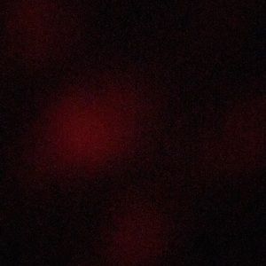 Meet your Posher, Lexie